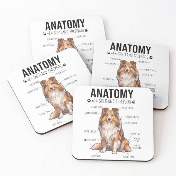 Item preview, Shetland Sheepdog Anatomy Dog Lover designed and sold by dian-rody-crest.
