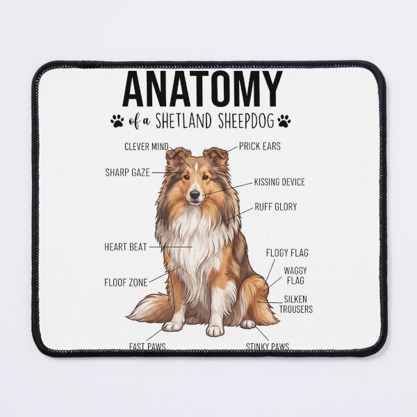Item preview, Shetland Sheepdog Anatomy Dog Lover designed and sold by dian-rody-crest.