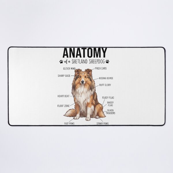 Item preview, Shetland Sheepdog Anatomy Dog Lover designed and sold by dian-rody-crest.