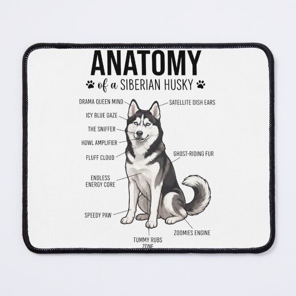 Item preview, Siberian Husky Anatomy Dog Lover designed and sold by dian-rody-crest.