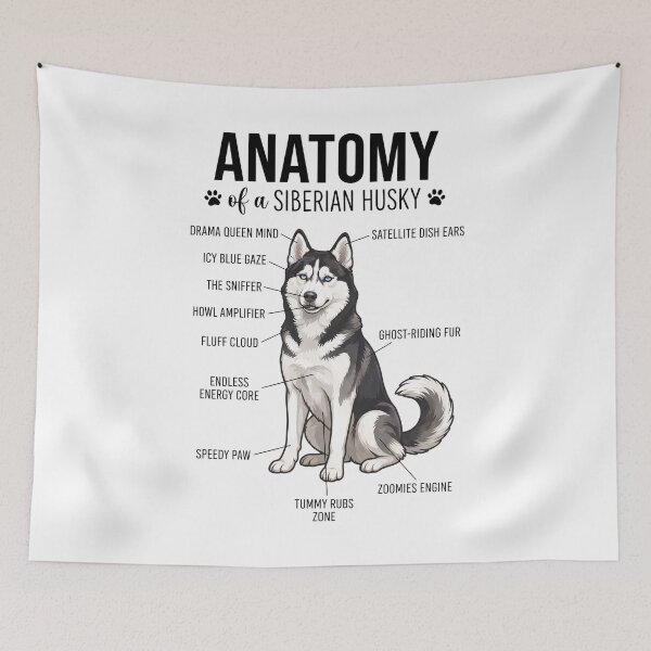 Item preview, Siberian Husky Anatomy Dog Lover designed and sold by dian-rody-crest.