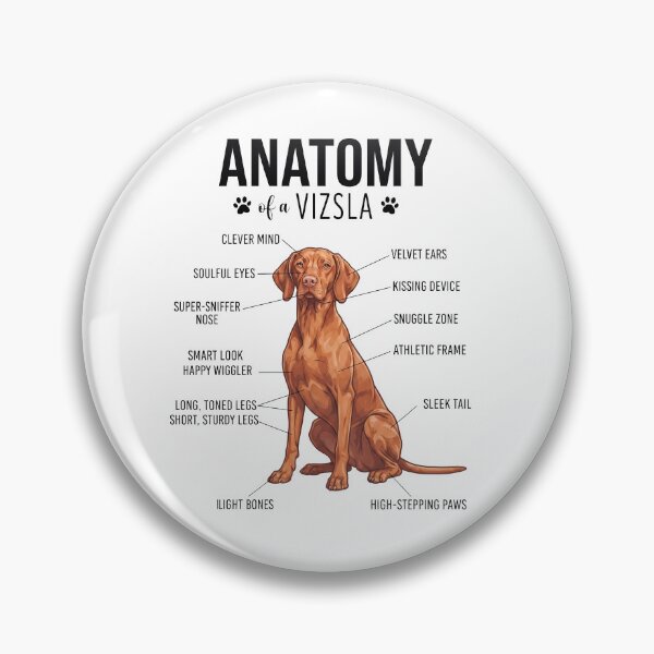 Item preview, Vizsla Anatomy Dog Lover designed and sold by dian-rody-crest.