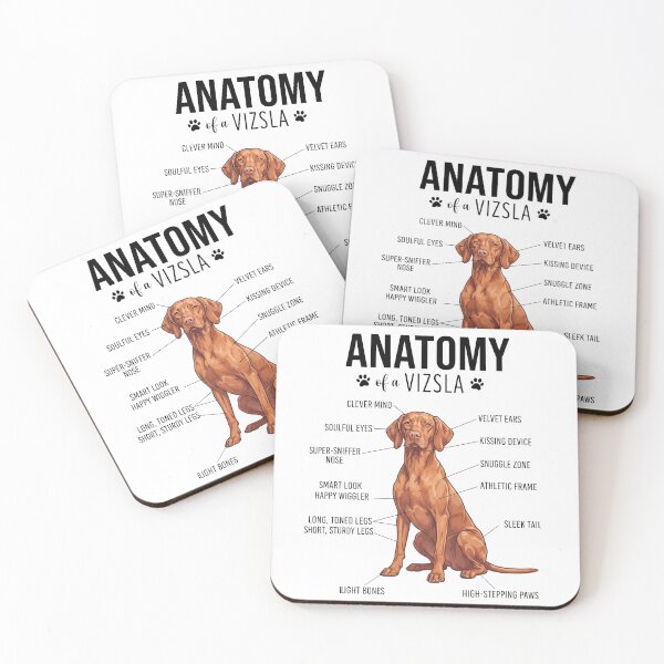Artikelvorschau, Vizsla-Anatomie Hundeliebhaber entworfen und verkauft von dian-rody-crest.
