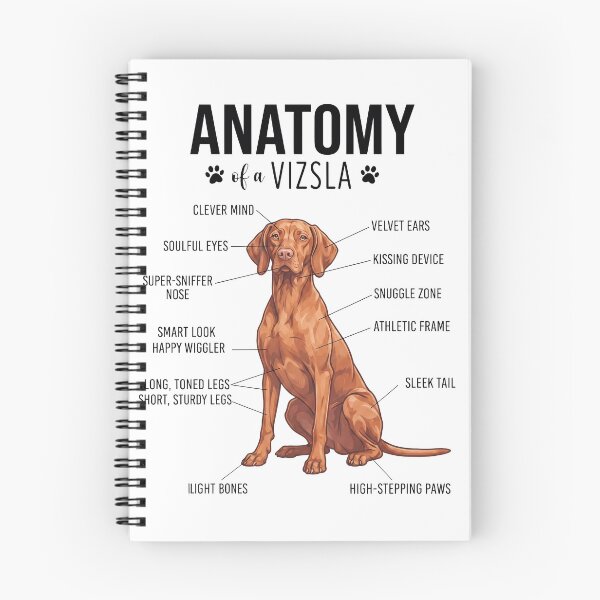 Item preview, Vizsla Anatomy Dog Lover designed and sold by dian-rody-crest.