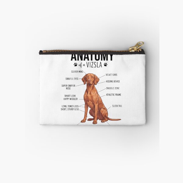 Item preview, Vizsla Anatomy Dog Lover designed and sold by dian-rody-crest.