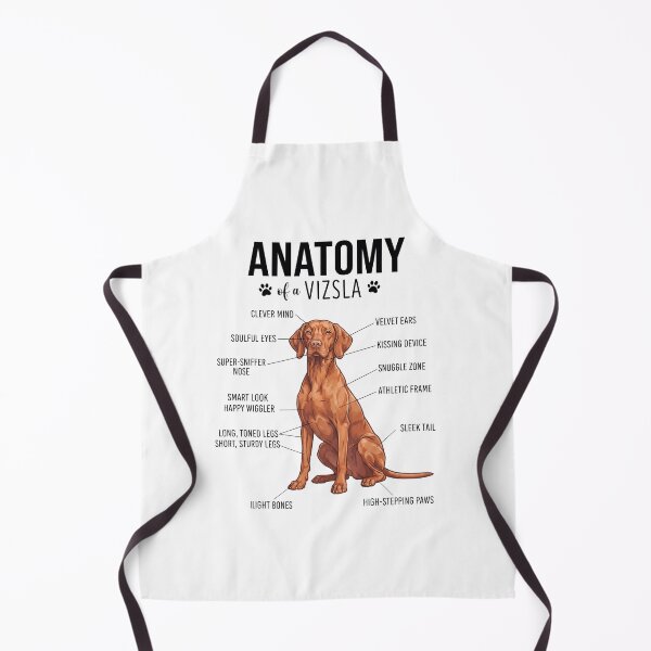 Item preview, Vizsla Anatomy Dog Lover designed and sold by dian-rody-crest.