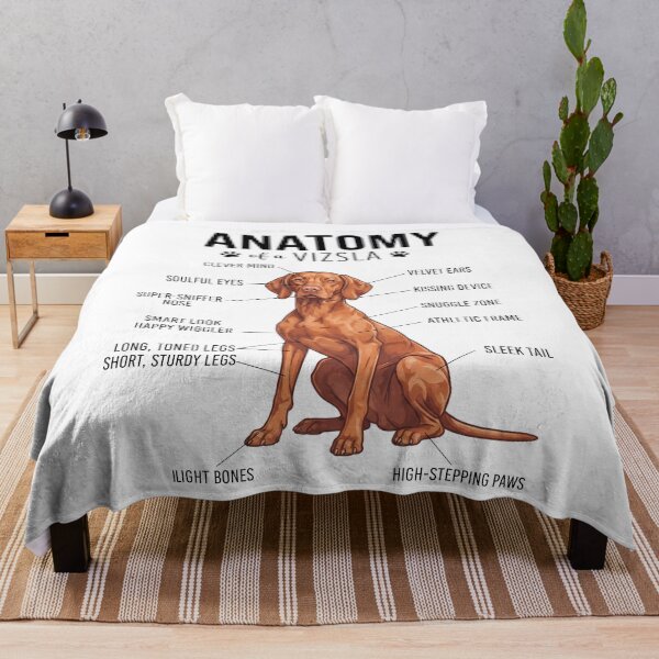 Item preview, Vizsla Anatomy Dog Lover designed and sold by dian-rody-crest.