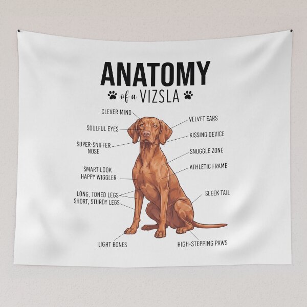 Item preview, Vizsla Anatomy Dog Lover designed and sold by dian-rody-crest.