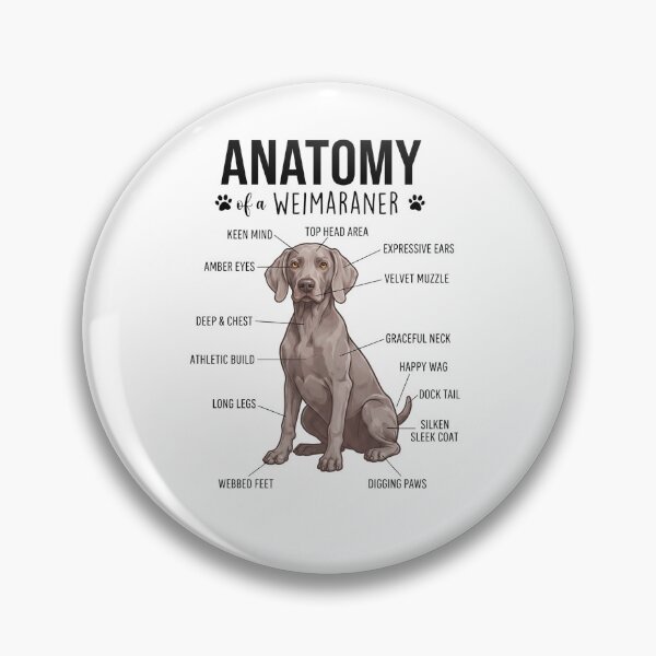 Item preview, Weimaraner Anatomy Dog Lover designed and sold by dian-rody-crest.