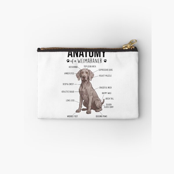 Item preview, Weimaraner Anatomy Dog Lover designed and sold by dian-rody-crest.