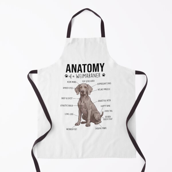 Item preview, Weimaraner Anatomy Dog Lover designed and sold by dian-rody-crest.
