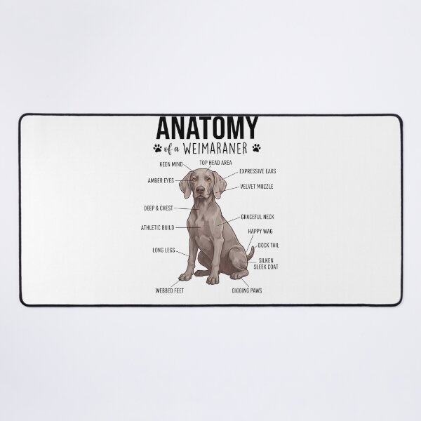 Item preview, Weimaraner Anatomy Dog Lover designed and sold by dian-rody-crest.