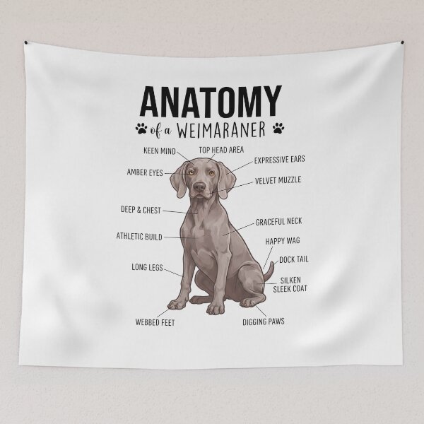 Item preview, Weimaraner Anatomy Dog Lover designed and sold by dian-rody-crest.