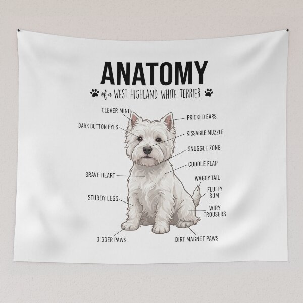 Aperçu de l'œuvre Anatomie du West Highland White Terrier - Passionné de chiens créée et vendue par dian-rody-crest.