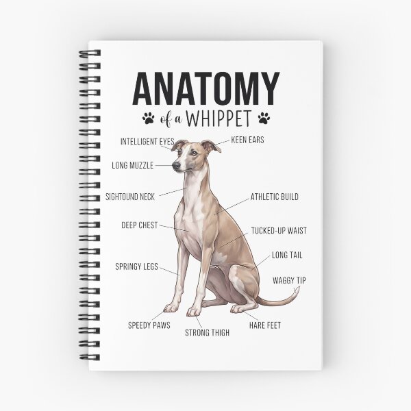 Item preview, Whippet Anatomy Dog Lover designed and sold by dian-rody-crest.