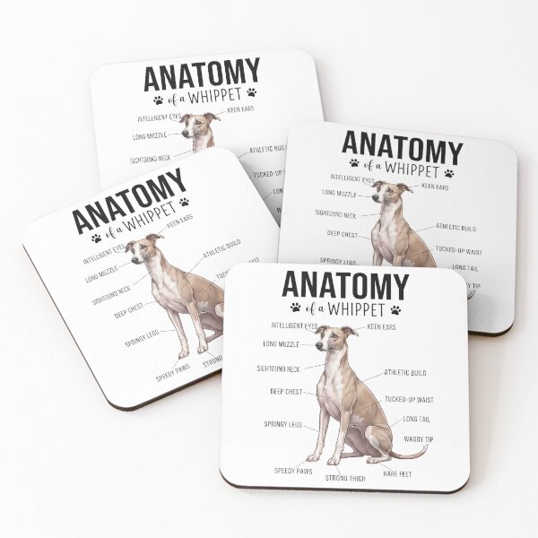 Item preview, Whippet Anatomy Dog Lover designed and sold by dian-rody-crest.