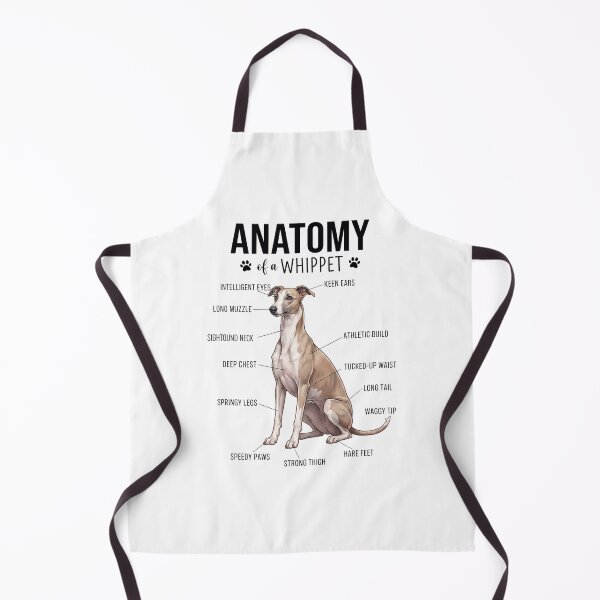 Artikelvorschau, Whippet-Anatomie Hundeliebhaber entworfen und verkauft von dian-rody-crest.