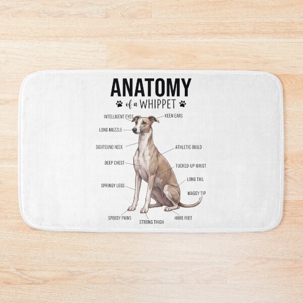 Artikelvorschau, Whippet-Anatomie Hundeliebhaber entworfen und verkauft von dian-rody-crest.