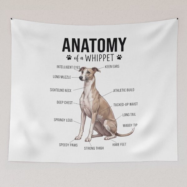 Item preview, Whippet Anatomy Dog Lover designed and sold by dian-rody-crest.