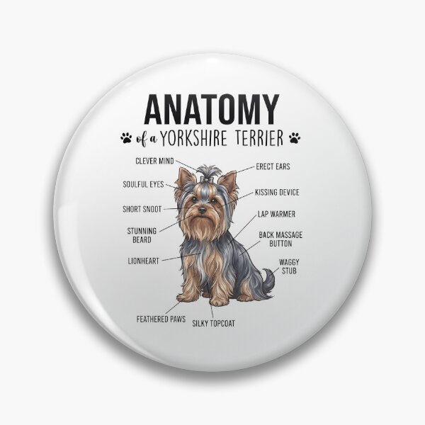 Artikelvorschau, Anatomie des Yorkshire Terriers – Ein Hundeliebhaber entworfen und verkauft von dian-rody-crest.
