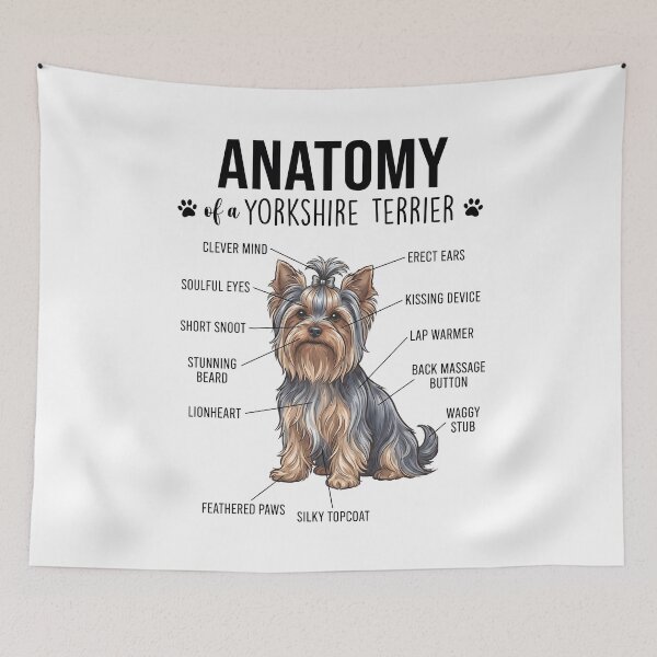Aperçu de l'œuvre Anatomie du Yorkshire Terrier pour les amoureux des chiens créée et vendue par dian-rody-crest.