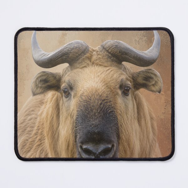 Item preview, Majestic Takin designed and sold by Elisabeth Lucas.