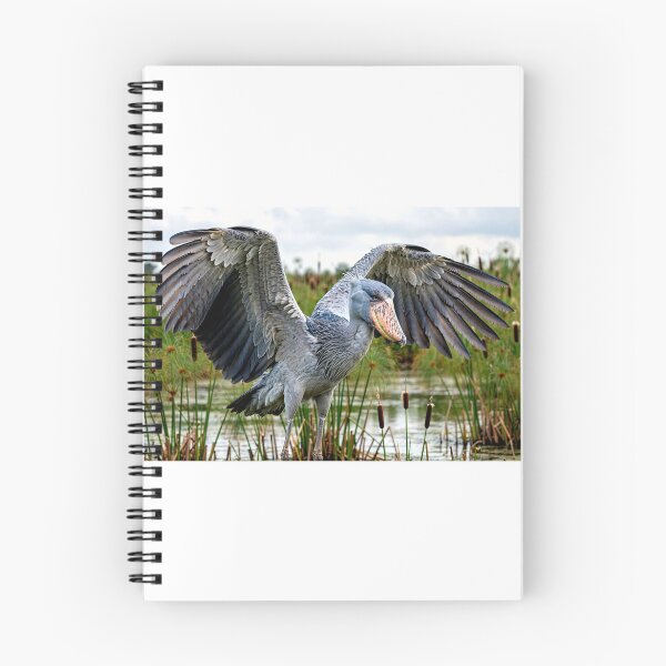 Item preview, Shoebill designed and sold by Savannah Gibbs.