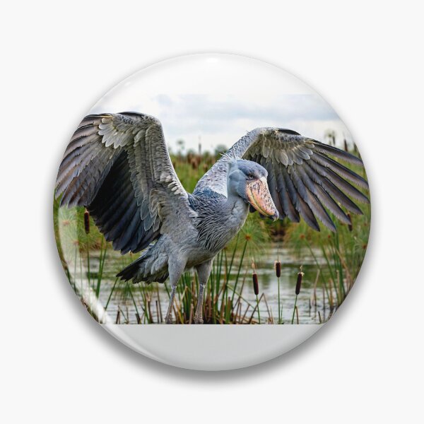 Item preview, Shoebill designed and sold by Savannah Gibbs.