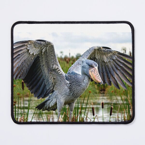 Item preview, Shoebill designed and sold by Savannah Gibbs.