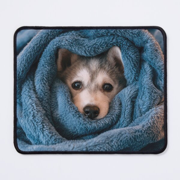 Item preview, Husky in Blanket 01 designed and sold by Elisabeth Lucas.