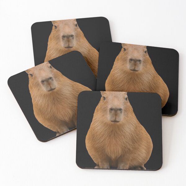 Aperçu de l'œuvre Capybara créée et vendue par Tashen123.