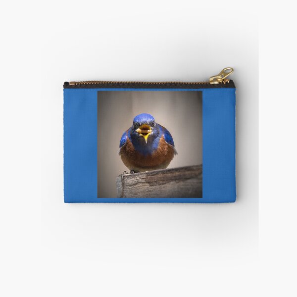 Item preview, Bluebird with a Mealworm designed and sold by CarolM.
