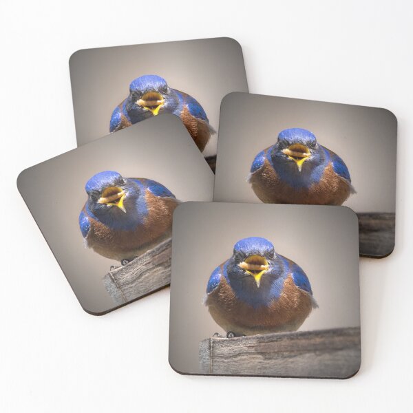 Item preview, Bluebird with a Mealworm designed and sold by CarolM.
