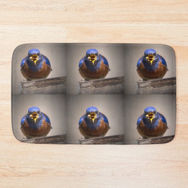 Item preview, Bluebird with a Mealworm designed and sold by CarolM.