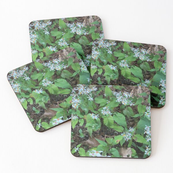 Item preview, White Wood Aster designed and sold by Amanda1775.