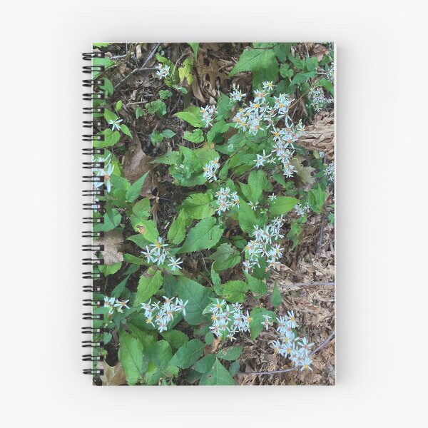 Item preview, White Wood Aster designed and sold by Amanda1775.