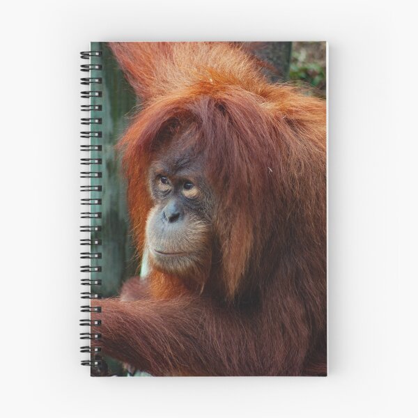 Item preview, Kemala designed and sold by ProducePrimates.