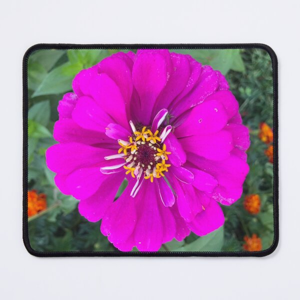 Item preview, Zinnia designed and sold by Amanda1775.