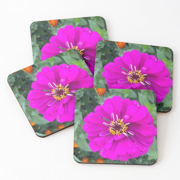 Item preview, Zinnia  designed and sold by Amanda1775.