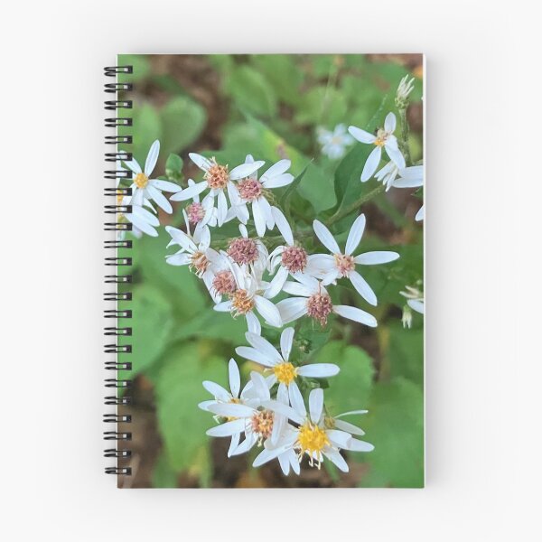 Item preview, White Wood Asters Up Close  designed and sold by Amanda1775.