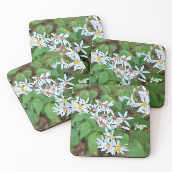 Item preview, White Wood Asters Up Close  designed and sold by Amanda1775.