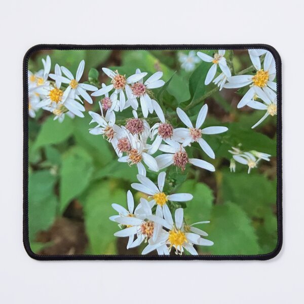 Item preview, White Wood Asters Up Close designed and sold by Amanda1775.
