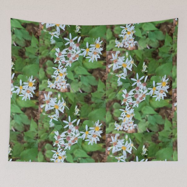 Item preview, White Wood Asters Up Close  designed and sold by Amanda1775.