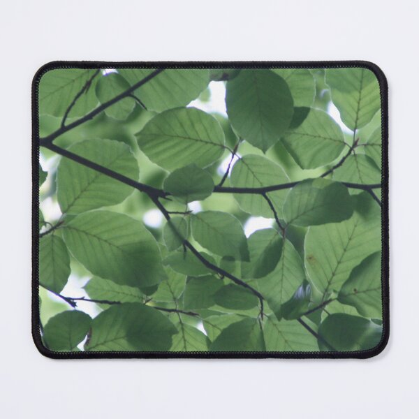 Item preview, Cool Leafy Canopy Photograph designed and sold by AnimaliaStar.