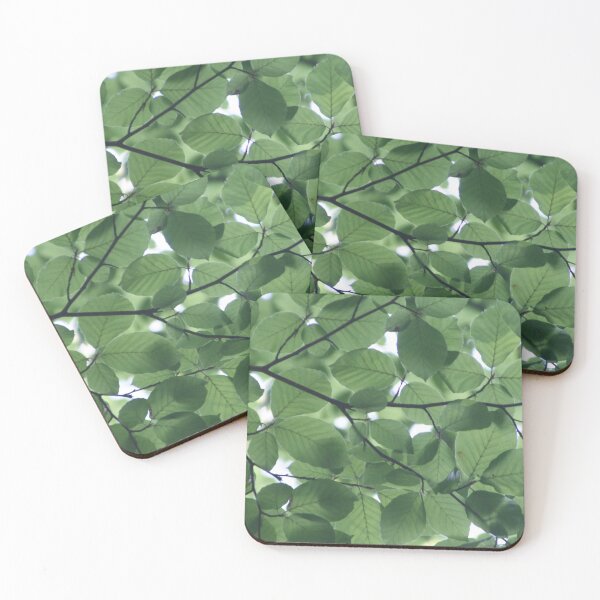 Item preview, Cool Leafy Canopy Photograph  designed and sold by AnimaliaStar.