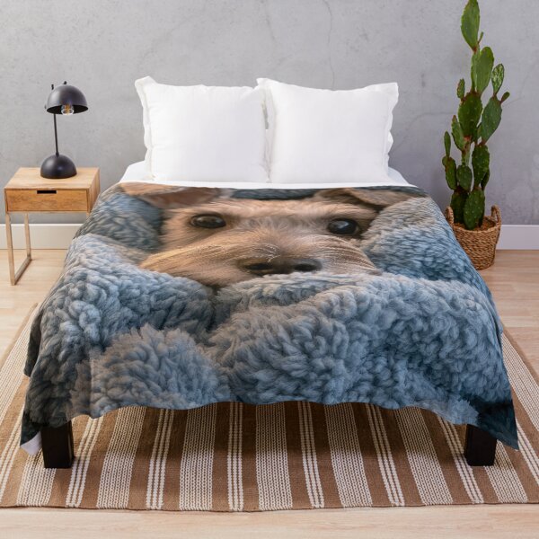 Item preview, Schnauzer in Blanket 01 designed and sold by Elisabeth Lucas.