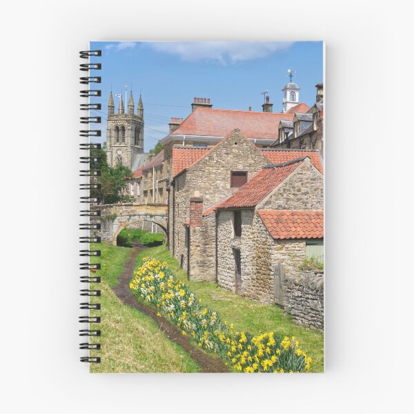 Item preview, Helmsley Daffodils designed and sold by Alisonchambers2.