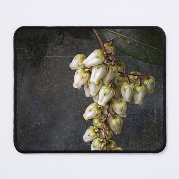 Item preview, Pieris japonica designed and sold by andreisky.