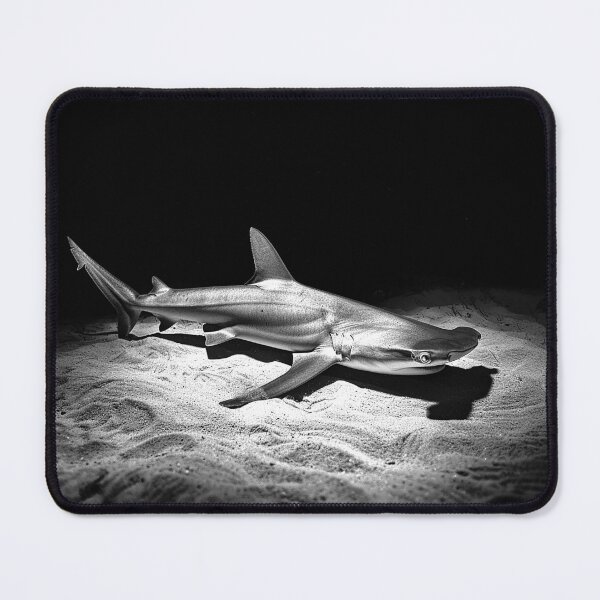 Item preview, Shark on Ocean Floor Black and White Underwater Marine Wildlife Art designed and sold by inkoutninja.
