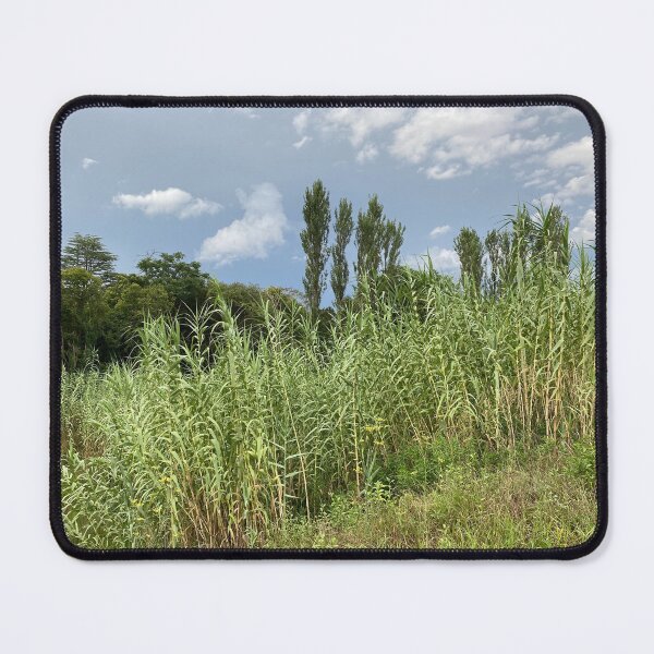 Item preview, Western Sydney designed and sold by selenaxsc.